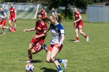Bild 192 - wBJ HSV Leistungsvergleich